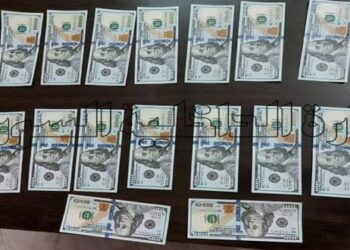 القبض على مروج مخدرات و عملات أجنبية مزورة