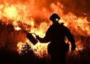 لوس أنجلوس .. الحرائق المشتعلة تتسبب بإخلاء ألف شخص