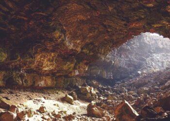 اكتشاف كومة عظام تعود إلى 7 آلاف عام تغطي أرضية أنبوب حمم بركانية في السعودية