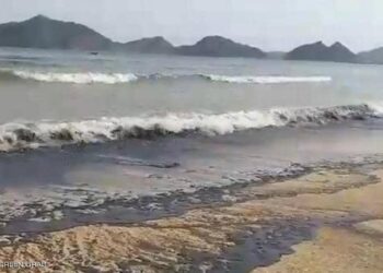 تنذر بكارثة بيئية.. جهود يمنية لتعويم السفينة الغارقة “ديا”