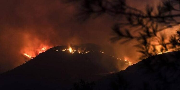 قتلى يعتقد أنهم مصريون بحرائق غابات قبرص