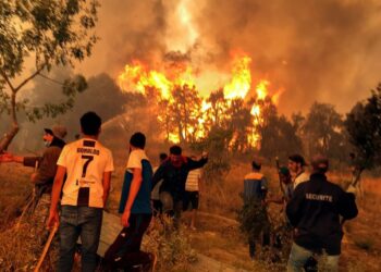 جريمة “بشعة” وسط الحرائق بالجزائر.. والنيابة تفتح تحقيقا