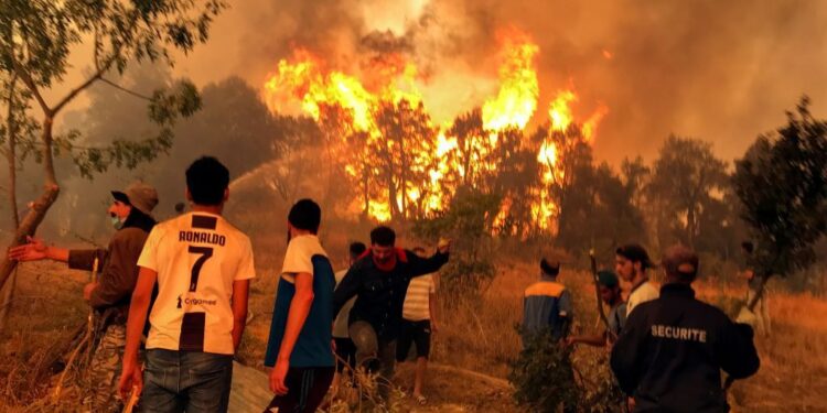 جريمة “بشعة” وسط الحرائق بالجزائر.. والنيابة تفتح تحقيقا