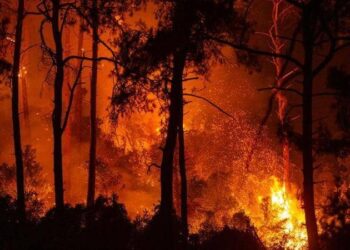 الآلاف يفرون من الحرائق خارج أثينا وسط موجة الحر