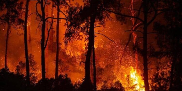 الآلاف يفرون من الحرائق خارج أثينا وسط موجة الحر