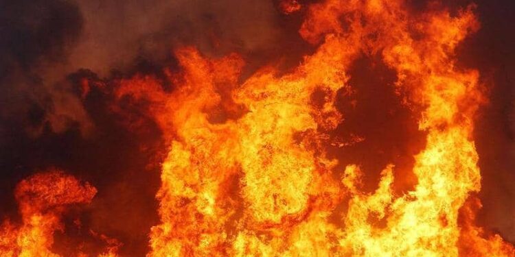 حوض البحر المتوسط يشتعل وسط موجة حر شديدة