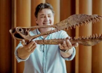 الكشف عن حفرية وحش مخيف نشر الرعب في سماء أستراليا