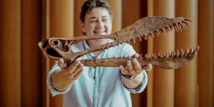 الكشف عن حفرية وحش مخيف نشر الرعب في سماء أستراليا