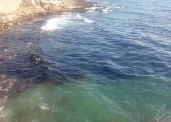 محافظة اللاذقية: رصد بقع من الفيول على شاطئ جبلة واتخاذ إجراءات فورية لإزالتها