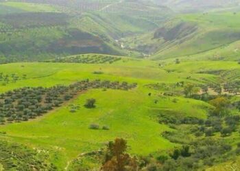 لبنان .. قصف محيط مواقع الاحتـ.ـلال في مزارع شبعا