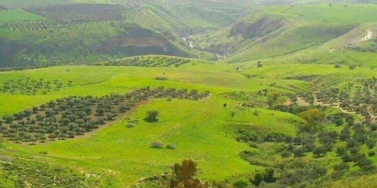 لبنان .. قصف محيط مواقع الاحتـ.ـلال في مزارع شبعا