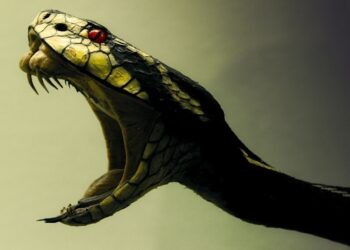 دراسة تزعم اكتشاف جزيئات سم ثعبان برازيلي قد تكون “ترياقا” ضد “كوفيد-19”