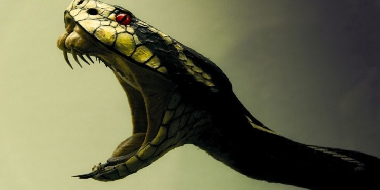 دراسة تزعم اكتشاف جزيئات سم ثعبان برازيلي قد تكون “ترياقا” ضد “كوفيد-19”