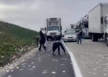 كاليفورنيا .. السماء تمطر دولارات