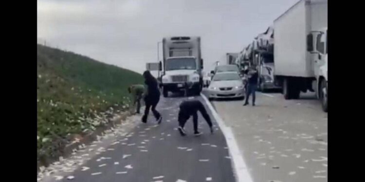 كاليفورنيا .. السماء تمطر دولارات