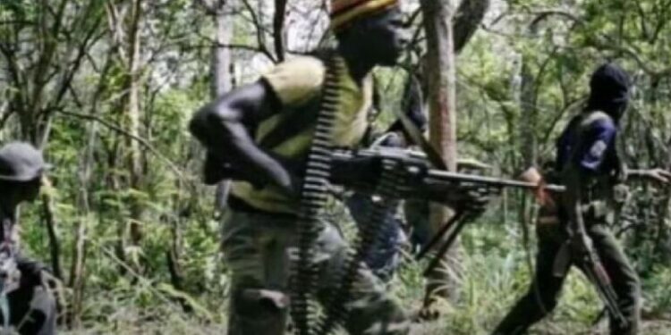 أنباء عن مقتل 12 شخصا على الأقل جراء هجوم شمال شرقي الكونغو الديمقراطية