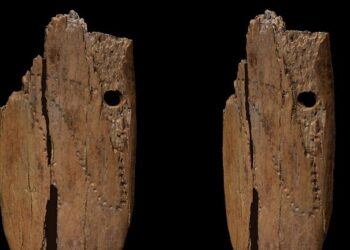 اكتشاف أقدم المجوهرات في أوراسيا