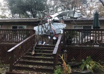 المصدر: نيويورك بوست