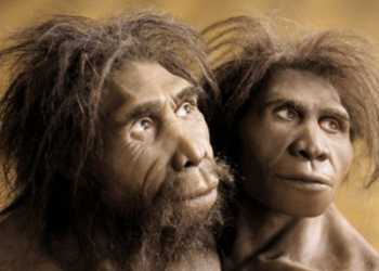 اكتشاف فريد يحمي من كورونا بفضل “إنسان نياندرتال”..