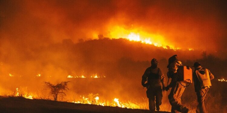حرائق الغابات تتواصل جنوب الأرجنتين وأحدها مستمر منذ شهر