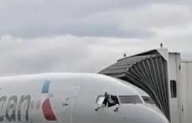 رجل يقتحم قمرة قيادة طائرة ويحاول الهرب من نافذتها- فيديو