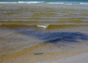 لبنان.. وزير البيئة يتابع موضوع الاشتباه ببقعة نفطية قبالة شواطئ البلاد