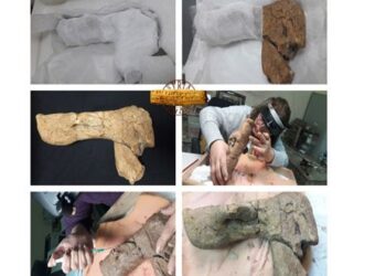 الآثار والمتاحف تنهي ترميم دمية طينية تعود للعصر الحجري
