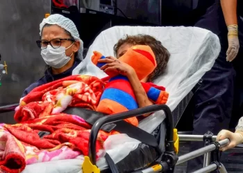 العثور على طفلين تائهين في غابات الأمازون بعد 25 يوما ..