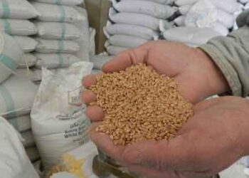 روسيا .. فرض حظر مؤقت على تصدير الحبوب والسكر