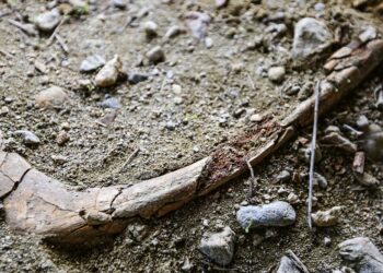 سوريا.. اكتشاف أحد أقدم المدافن الإسلامية في بلاد الشام