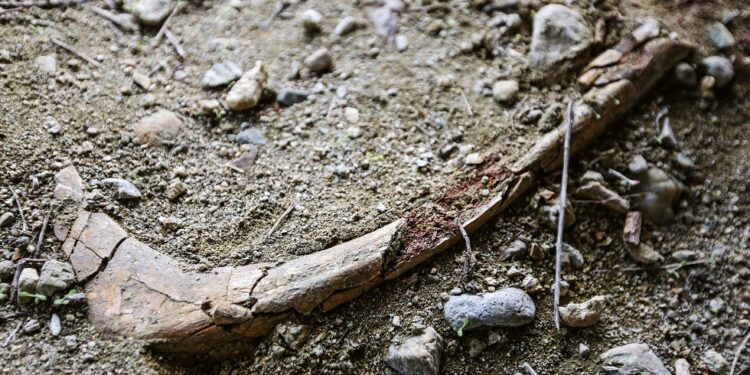 سوريا.. اكتشاف أحد أقدم المدافن الإسلامية في بلاد الشام