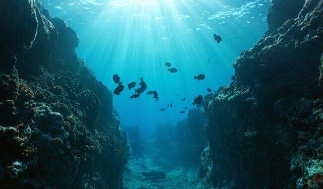 اكتشاف حول إحدى أولى الحيوانات التي غامرت في الصعود إلى اليابسة!