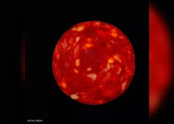 قطعة نقانق تجبر عالم فيزياء على الإعتذار