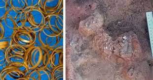 رومانيا ..اكتشاف 169خاتما ذهبيا فى قبر امرأة من العصر الحجري النحاسي