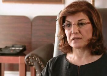 الدكتورة شعبان: سورية تقف إلى جانب الشعب الفلسطيني الصامد بمواجهة العدو الإسرائيلي