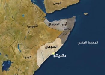 وكالة أنباء الصومال: مقتل 17 شخصا في هجوم لحركة “الشباب” في إقليم هيران