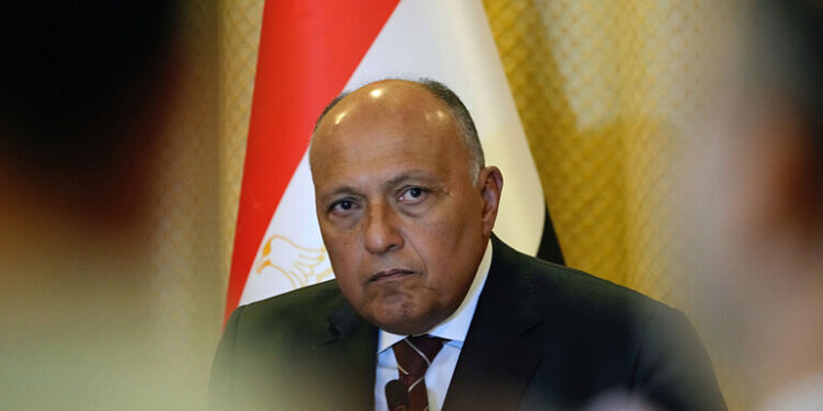 وزير الخارجية المصري ينسحب من اجتماع للجامعة العربية