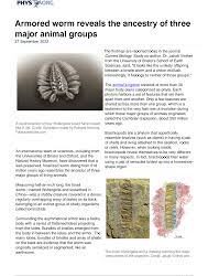 الصين .. اكتشاف حفرية لدودة مدرعة غريبة عمرها نصف مليار عام تخفي أسلاف ثلاث مجموعات حيوانية