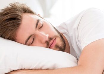 الصورة من الانترنت