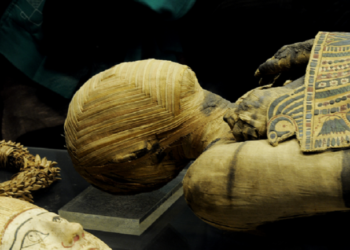 أوشام المومياء المصرية القديمة قد تكون مرتبطة بالتكاثر والحماية من الألم ..