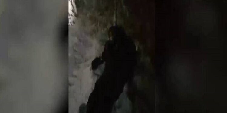 العثور على مهاجر سوري فاقد للوعي على الحدود بين لاتفيا وبيلاروس