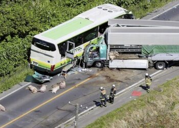 قتلى وجرحى باصطدام شاحنة تقل خنازير بحافلة ركاب في اليابان