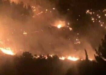 إخماد حريق اندلع ضمن أراضي حراجية في منطقة الشام الجديدة