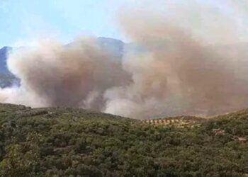 حريق ضخم في حراج منطقة الغاب وفرق الإطفاء تعمل على إخماده