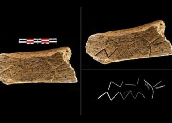 العثور على عظمة مزخرفة عمرها حوالي 80 ألف عام في مقاطعة بريانسك الروسية