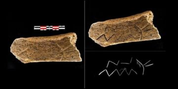 العثور على عظمة مزخرفة عمرها حوالي 80 ألف عام في مقاطعة بريانسك الروسية