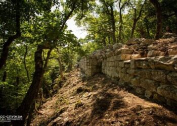 نقلا عن روسيا اليوم