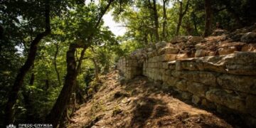 نقلا عن روسيا اليوم