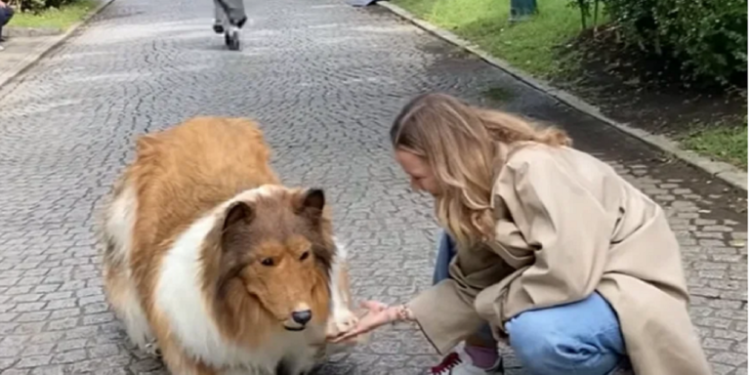 ياباني ينفق آلاف الدولارات ليتحول إلى.. كلب! (فيديو)