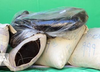 الشرطة الإيرانية تضبط أكثر من 4 أطنان من المخدرات جنوب شرق البلاد